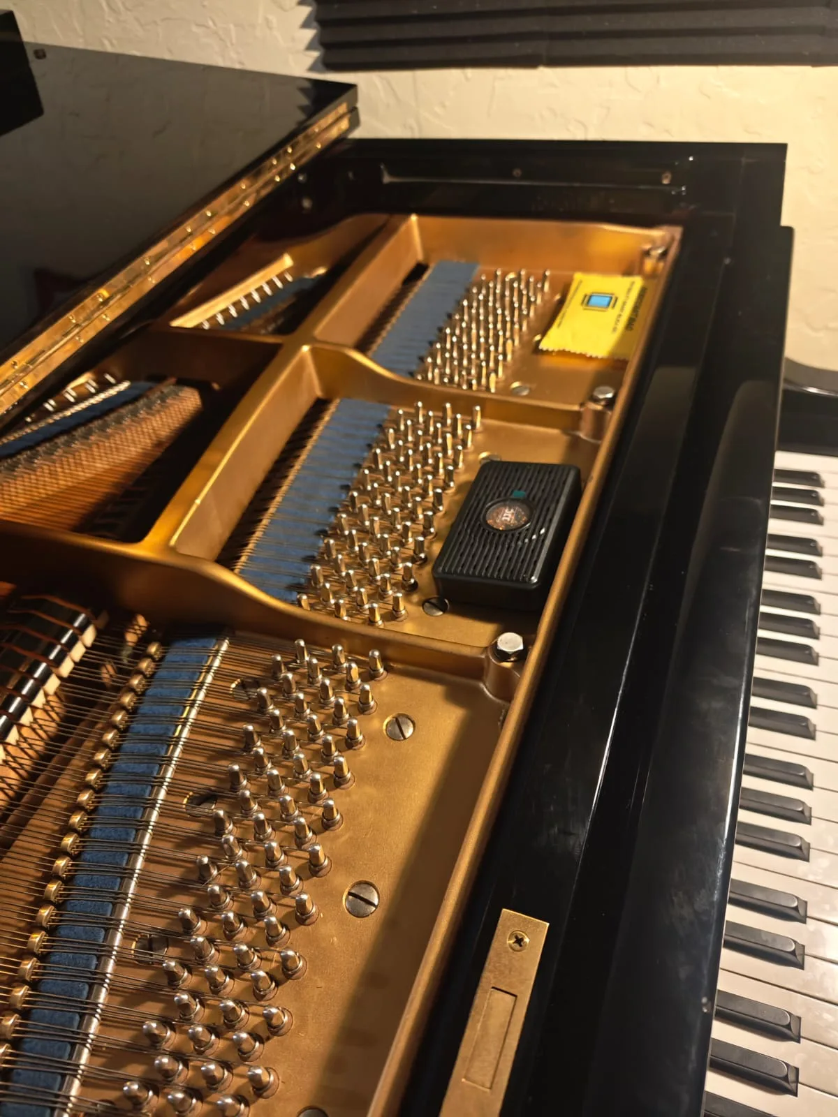 Afinación interior piano de cola — clavijas y cuerdas | tecnicopiano.cl Interior de piano de cola con clavijas de afinación y cuerdas durante servicio técnico — tecnicopiano.cl