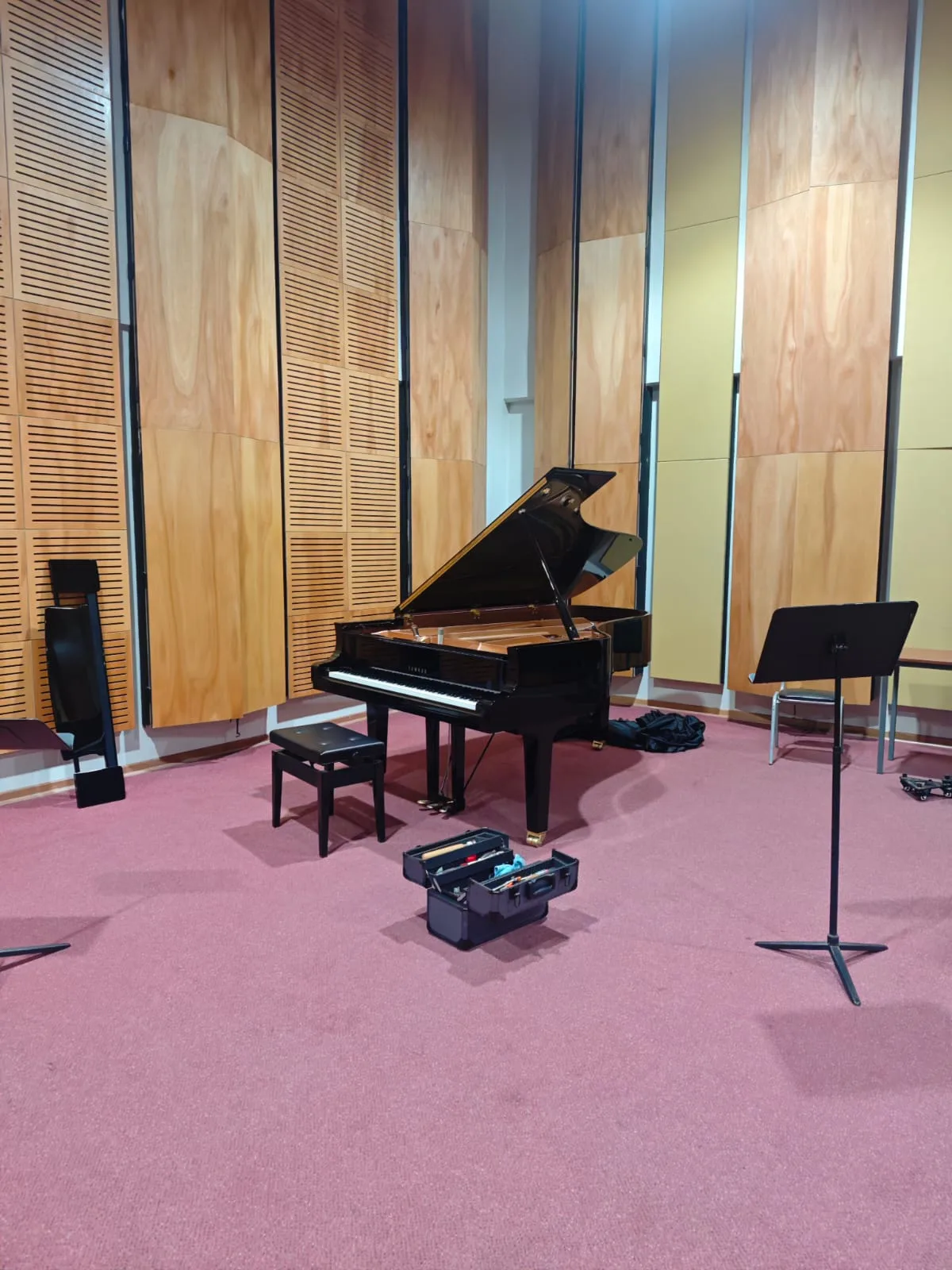 Afinación de piano de cola Yamaha en estudio con paneles acústicos en Santiago — tecnicopiano.cl